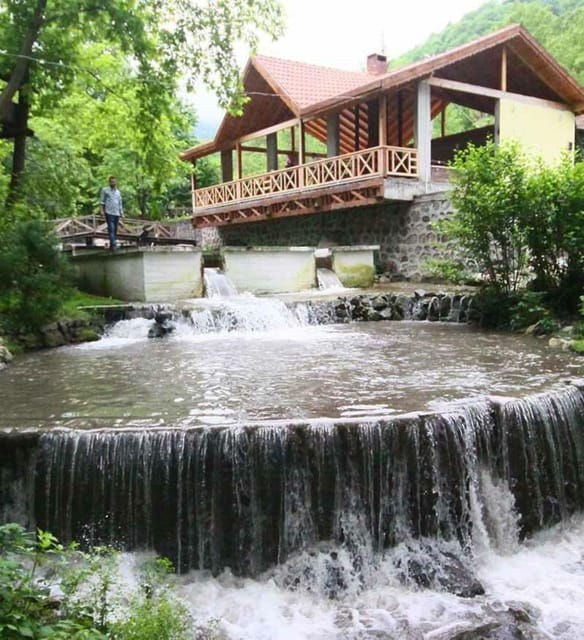 From Istanbul: Sapanca and Masukiye Day Trip With Lunch - Daily Itinerary Breakdown