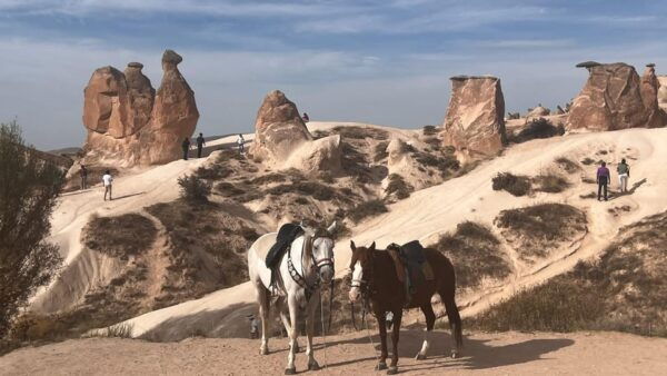 From Istanbul to Cappadocia Day Trip With Flight Tickets - Frequently Asked Questions
