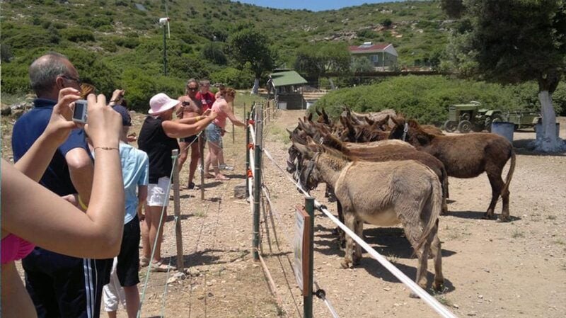 From Izmir: Full Day Boat Trip around Cesme with BBQ Lunch - From Izmir: Full Day Boat Trip around Cesme with BBQ Lunch