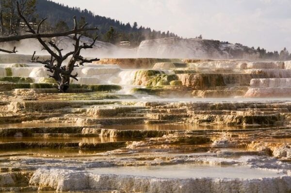 From Jackson: 2-Day Grand Teton and Yellowstone Tour - Tour Guide