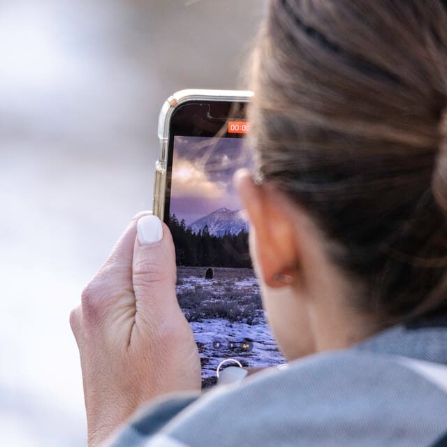 From Jackson: Grand Teton Sunset and Sightseeing Tour - Good To Know