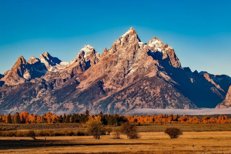 From Jackson: Half-Day Grand Teton National Park Tour - Free Cancellation and Flexible Reservations