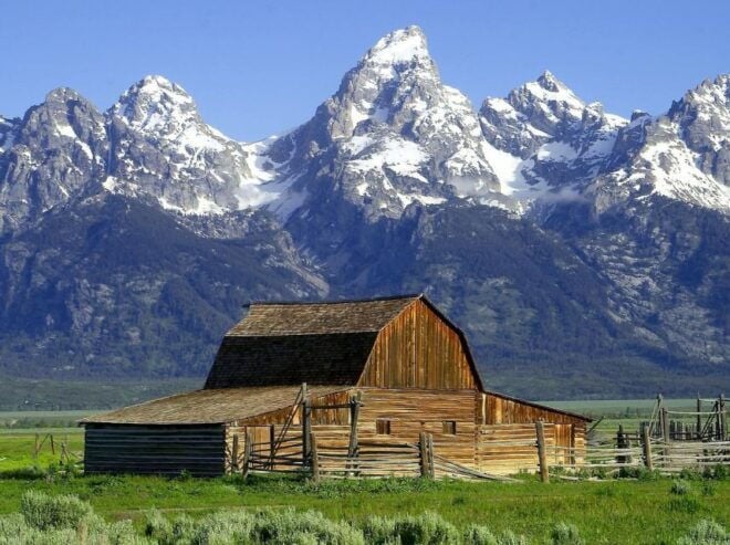 From Jackson: Half-Day Grand Teton National Park Tour - Duration and Availability