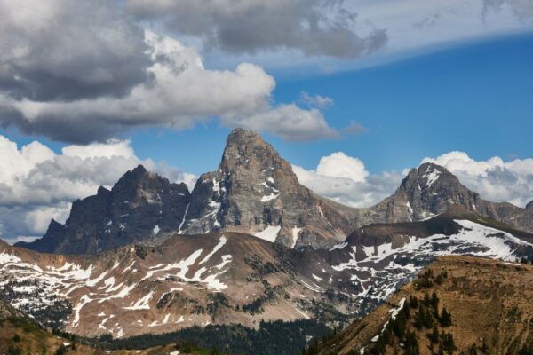 From Jackson: Half-Day Grand Teton National Park Tour - Customer Reviews