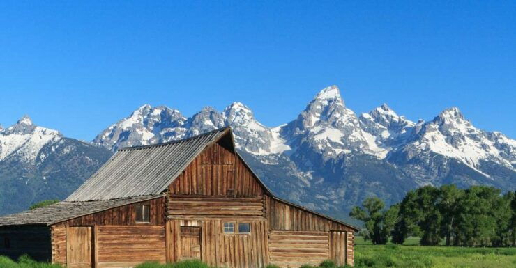 From Jackson Hole: Half-Day Grand Teton Wildlife Tour - Tour Details