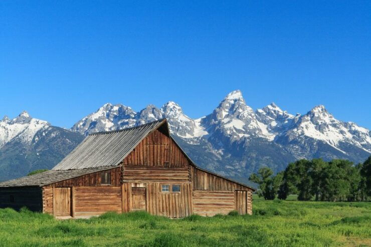 From Jackson Hole: Half-Day Grand Teton Wildlife Tour - Activity Description