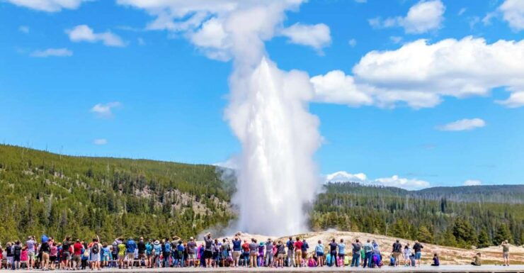 From Jackson: Yellowstone Day Tour Including Entrance Fee - Tour Details and Highlights