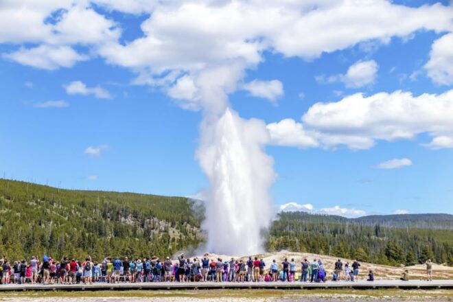 From Jackson: Yellowstone Day Tour Including Entrance Fee - Grand Teton and Yellowstone in One Day