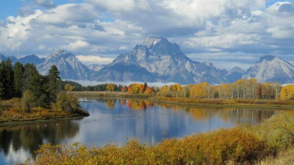From Jackson: Yellowstone Day Tour Including Entrance Fee - Wildlife Encounters in Yellowstone