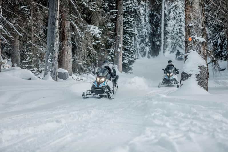 From Jackson: Yellowstone Grand Canyon Snowmobile Tour - Good To Know