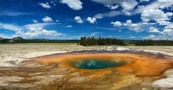 From Jackson: Yellowstone National Park Day Trip With Lunch - Activity Details
