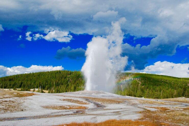 From Jackson: Yellowstone National Park Day Trip With Lunch - Tour Highlights