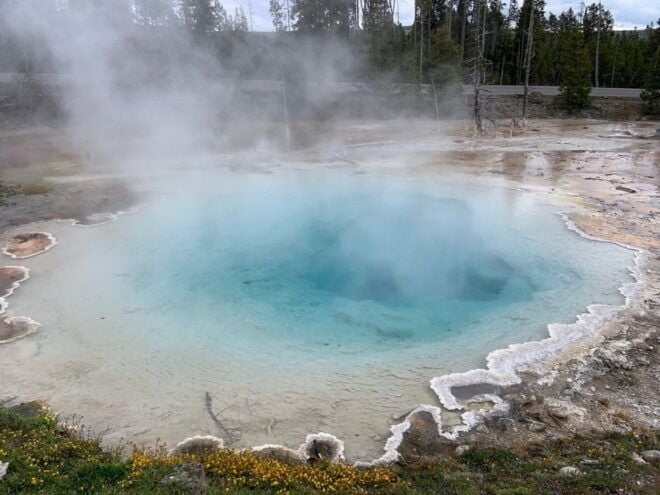 From Jackson: Yellowstone National Park Day Trip With Lunch - Live Tour Guide