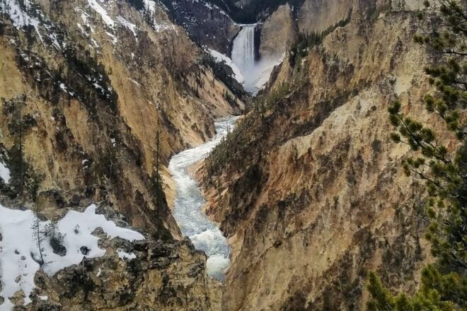 From Jackson: Yellowstone National Park Day Trip With Lunch - Private or Small Groups