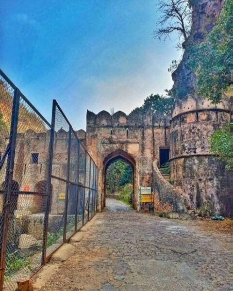 From Jaipur : 06 Days Jaipur, Pushkar, and Ranthambore Tour - Wildlife and Cultural Experiences