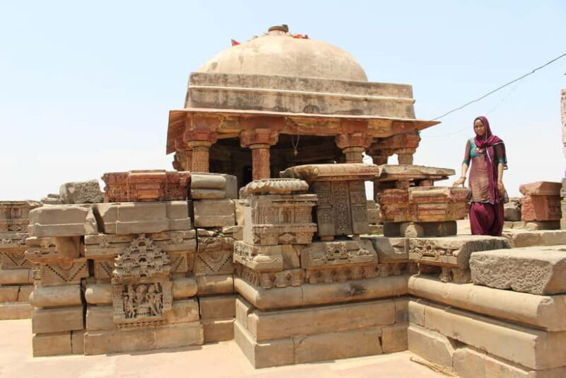 From Jaipur: Abhaneri Stepwell Private Tour - A Closer Look at the Tour Experience  