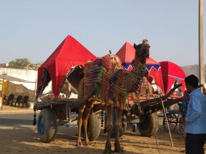 From Jaipur: Ajmer and Pushkar Private Tour By Ac Car - Experience