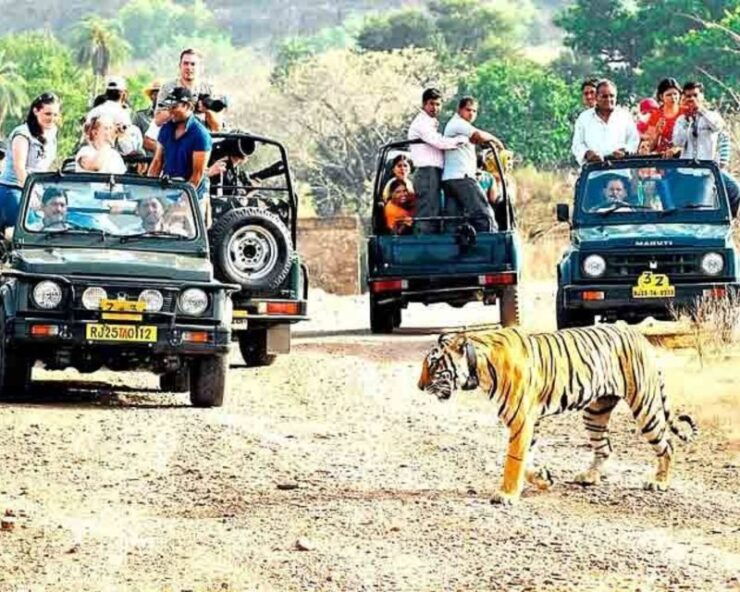 From Jaipur: Guided Ranthambore Tour With Cab - Full Description