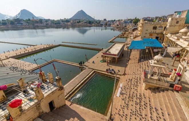 From Jaipur: Jaipur to Pushkar Same Day Trip - Frequently Asked Questions