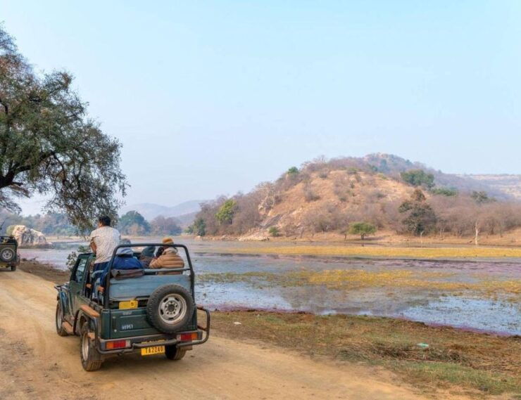 From Jaipur: Overnight Ranthambore Tiger Safari Private Tour - Booking Information