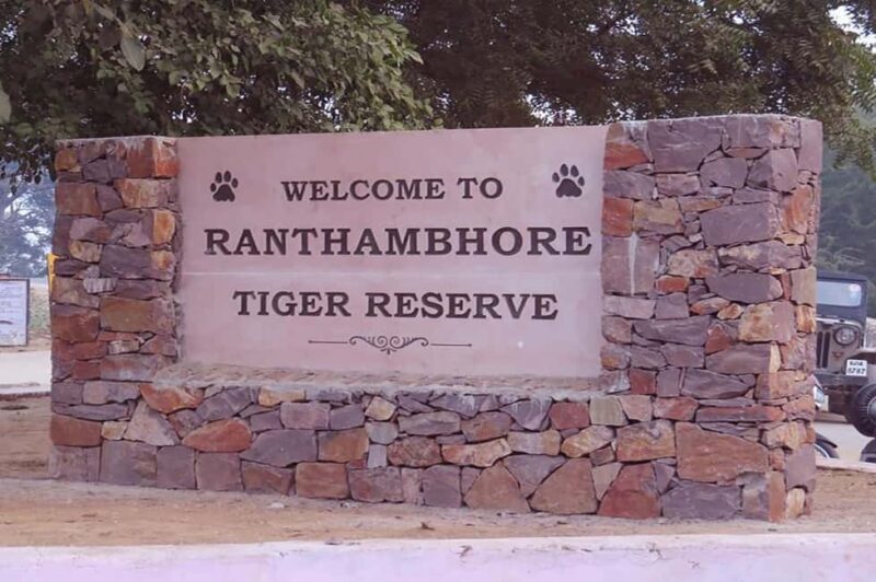 From Jaipur: Praivte Ranthambore Tour By Jeep Canter Safari - Good To Know