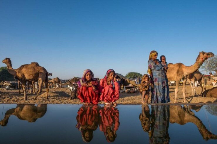 From Jaipur: Private Ajmer and Pushkar Guided Tour - Tour Highlights