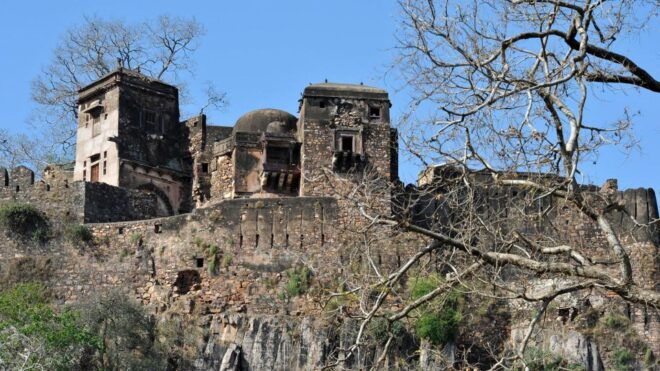 From Jaipur: Private Ranthambore Day Trip With Tiger Safari - Additional Details