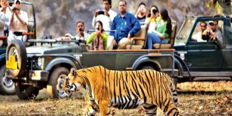 From Jaipur: Private Ranthambore Park Trip with Tiger Safari - Good To Know