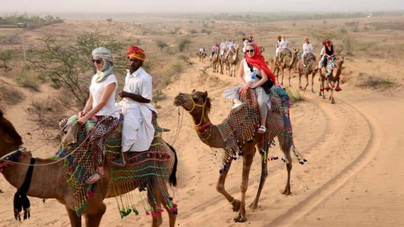 From Jaipur: Private Same Day Ajmer and Pushkar Tour By Car - What Makes This Tour Stand Out?