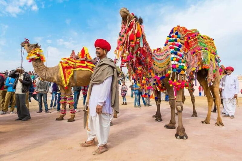 From Jaipur: Private Same Day Ajmer & Pushkar Day Trip - Who Will Love This Tour?