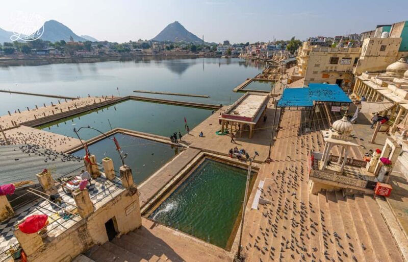 From Jaipur: Private Same Day Pushkar City Tour By Car - Good To Know  
