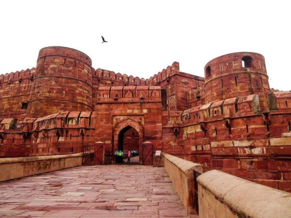 From Jaipur: Private Tour Taj Mahal and Agra Fort - Frequently Asked Questions