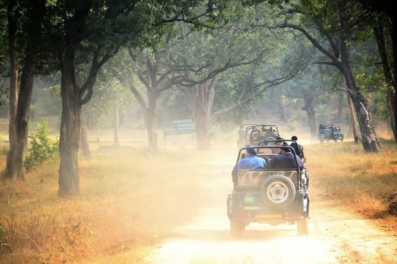 From Jaipur: Ranthambore National Park Day Trip with Safari - The long road from Jaipur to Sawai Madhopur