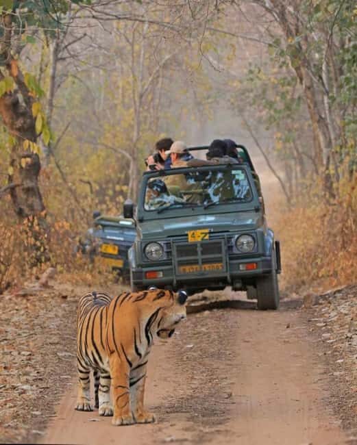 From Jaipur: Ranthambore National Park Day Trip with Safari - FAQ
