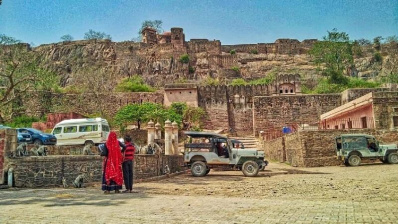 From Jaipur: Ranthambore National Park Day Trip with Safari - Detailed Review of the Tour Experience