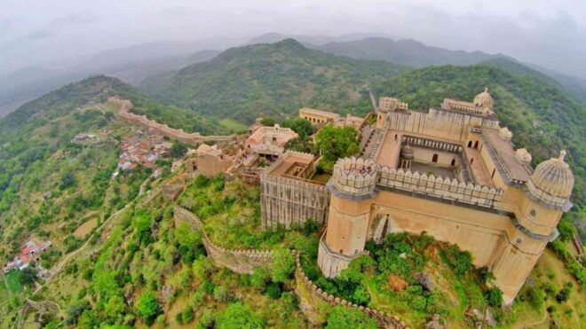 From Jaipur: Ranthambore Safari & Jaipur 2-Days Private Tour - Safari Experience