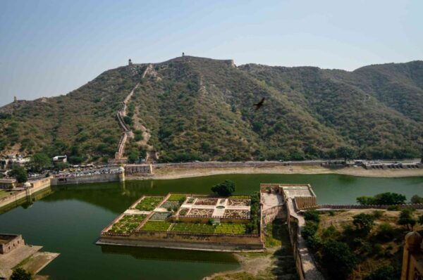 From Jaipur: Ranthambore Safari & Jaipur 2-Days Private Tour - The Sum Up