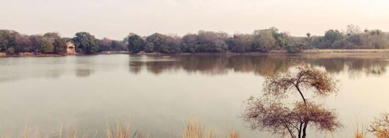 From Jaipur: Ranthambore Tiger National Park Tour (02 Days) - The Experience of Wildlife Viewing