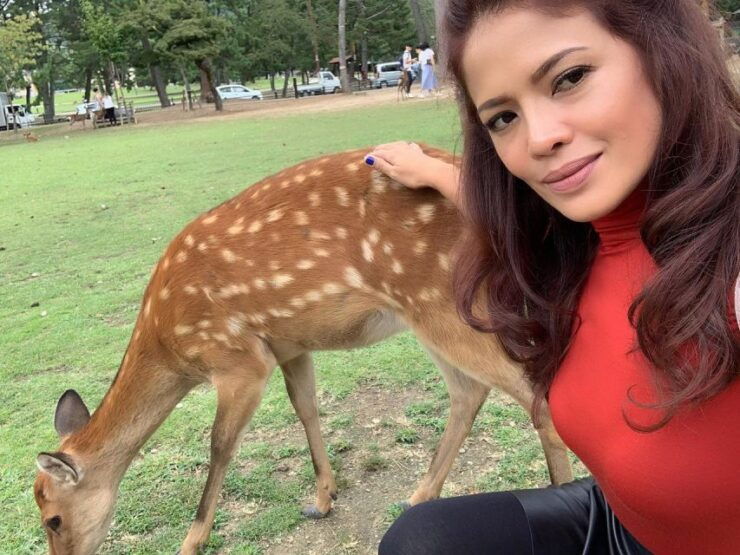 From Jaipur: Ranthambore Tiger Safari Tour By Car - Inclusions