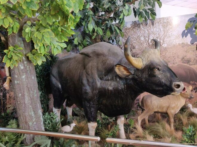 From Jaipur: Ranthambore Tiger Safari Tour By Car - Tour Itinerary