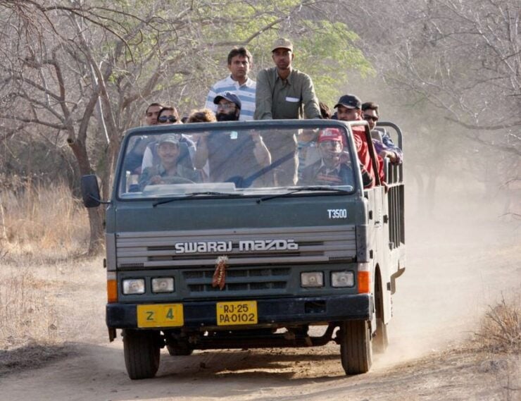 From Jaipur: Ranthambore Tour With Cab - Tour Highlights and Itinerary
