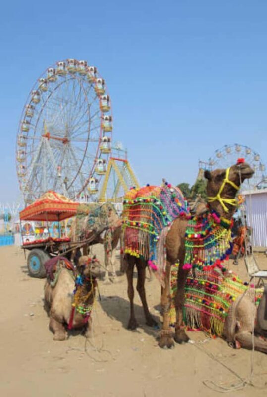 from Jaipur: Same Day Ajmer-Pushkar Tour by private Car. - Good To Know