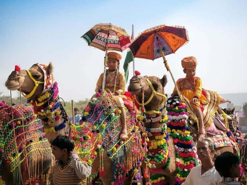 From Jaipur : Same Day Pushkar & Ajmer Guided Day Tour - Who Should Consider This Tour?