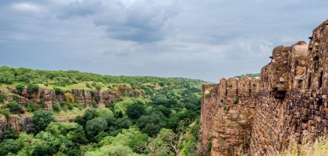 From Jaipur: Same Day Ranthambore Excursion - Duration and Availability