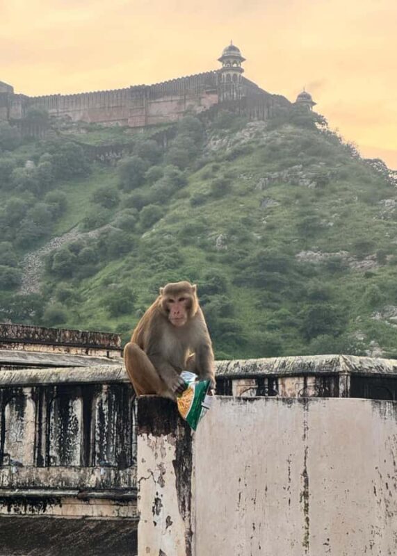 From Jaipur: Same Day Samode Village & Palace Tour - FAQs