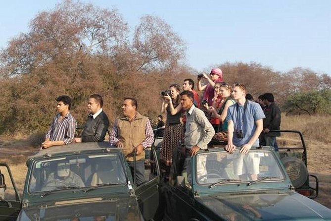 From Jaipur - Wildlife With Taj Mahal Agra & Delhi Tour 4 Days - Accommodations and Inclusions
