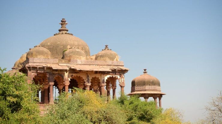 From Jaipur:Ultimate Jaipur to Ranthambore Jeep Safari Tour - Tour Details