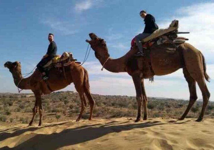 From Jaisalmer : Overnight Camping With Camel Safari - Highlights of the Experience