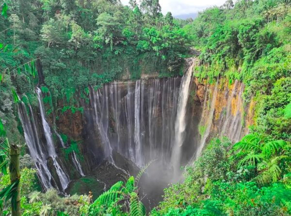 From Jakarta : 7D6N Java Island, Green Canyon, Volcano. - Questions You May Have