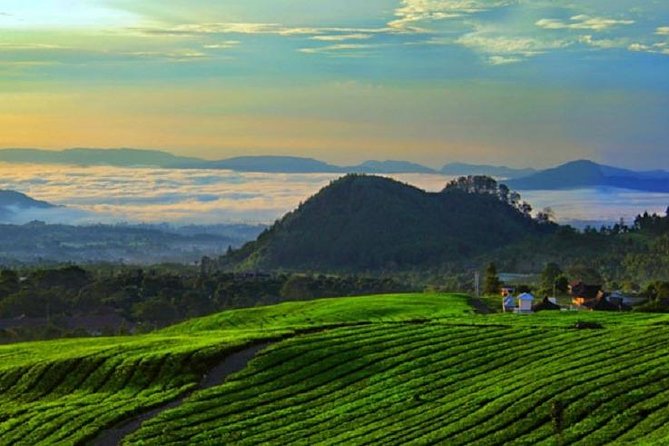 From Jakarta Airport : Mount Volcano , Hot Spring , Tea Plant - Journey to Mount Volcano